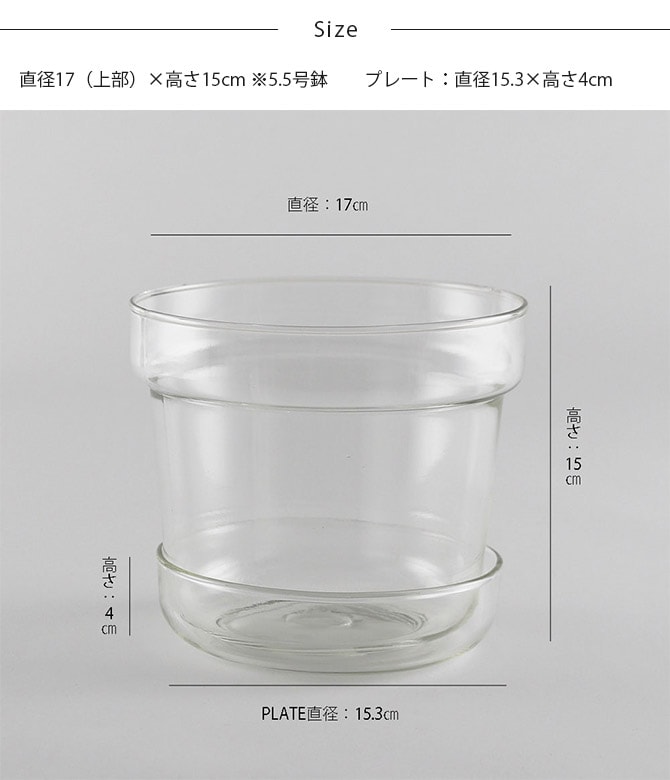 shesay シセイ リューズガラス プレート付き フラワーポット テーパー L