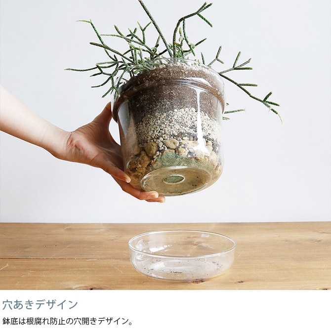 shesay シセイ リューズガラス プレート付き フラワーポット テーパー L