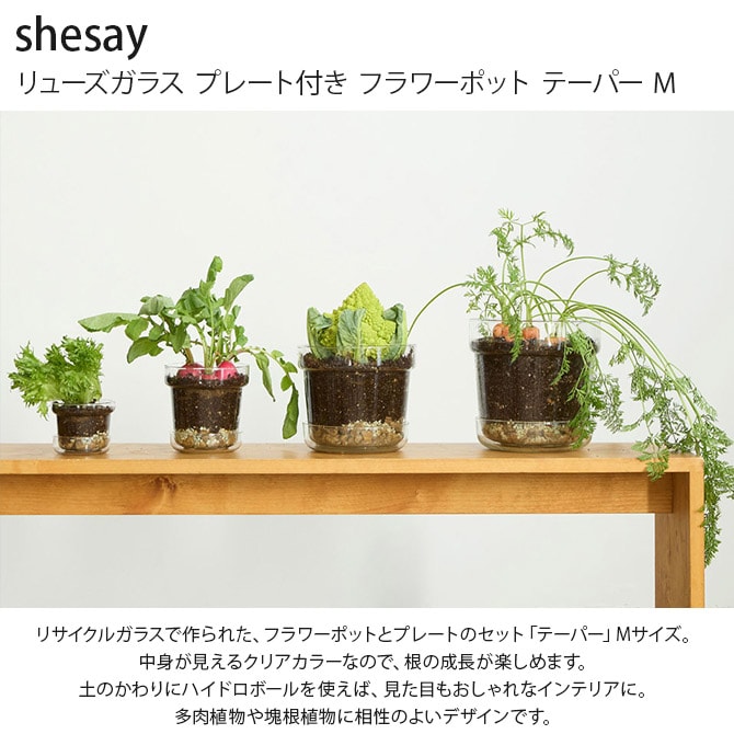 shesay シセイ リューズガラス プレート付き フラワーポット テーパー M