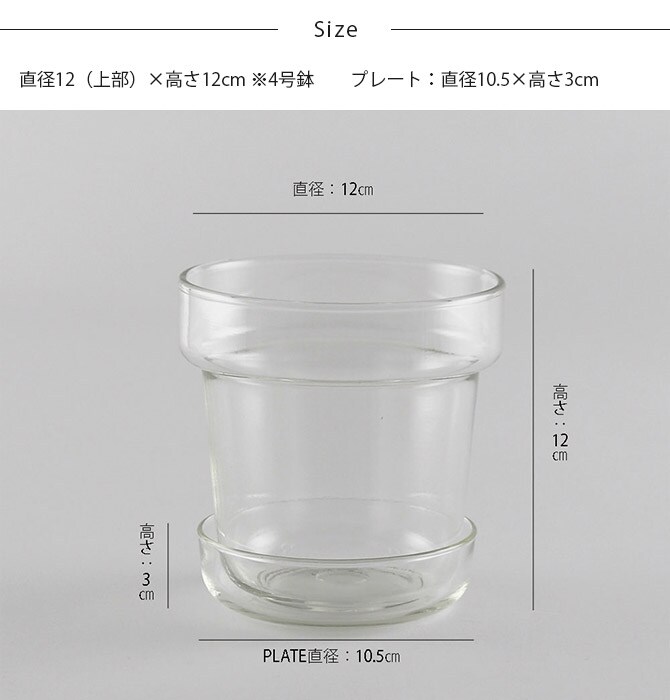 shesay シセイ リューズガラス プレート付き フラワーポット テーパー M