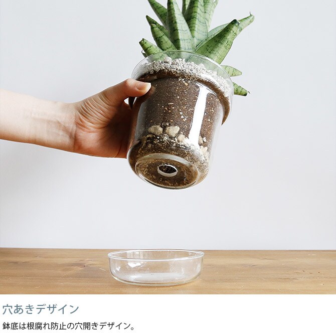 shesay シセイ リューズガラス プレート付き フラワーポット テーパー M