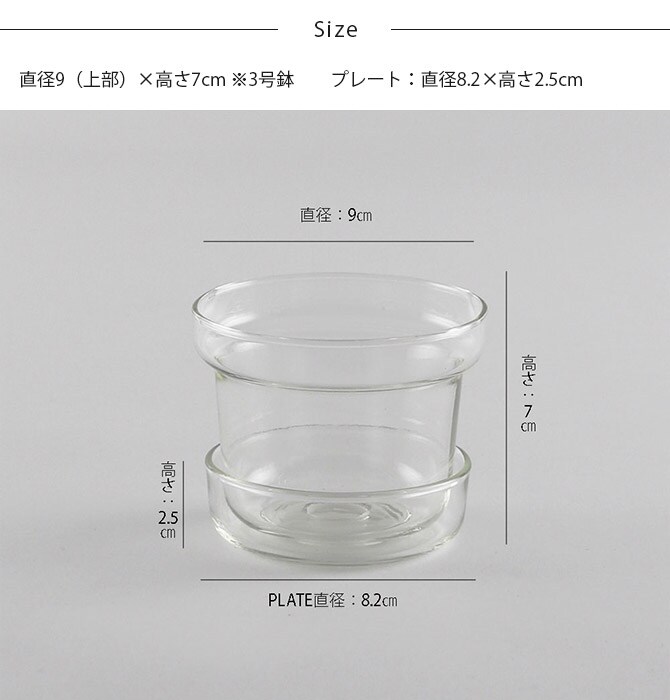 shesay シセイ リューズガラス プレート付き フラワーポット テーパー S