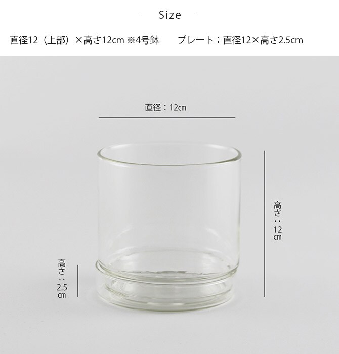 shesay シセイ リューズガラス プレート付き フラワーポット ストレート M 