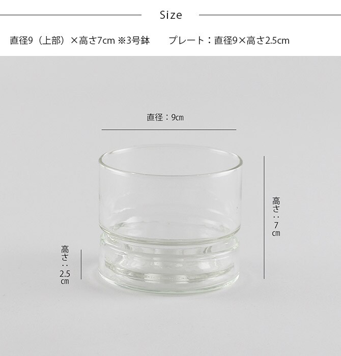 shesay シセイ リューズガラス プレート付き フラワーポット ストレート S