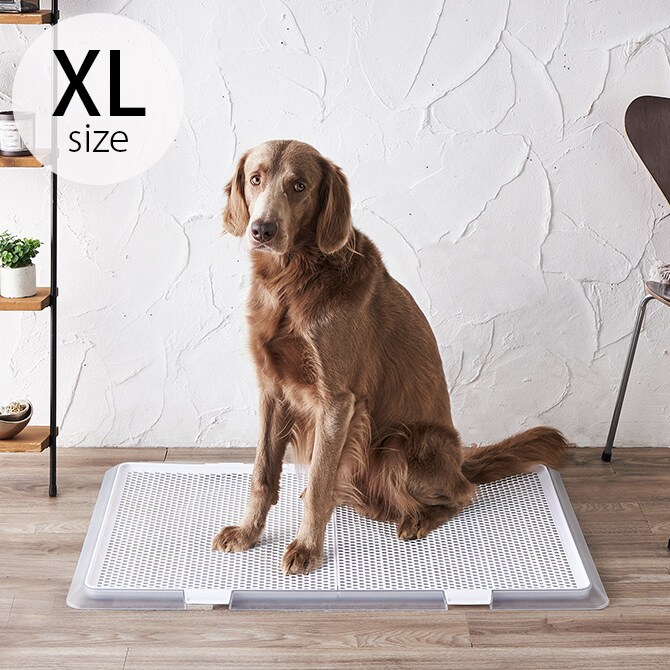 Bonbi ボンビアルコン ボンビ ペットトレー クリアメッシュ XL 犬 犬用 トイレ 大型犬 メッシュ トレー 透明 シンプル おしゃれ