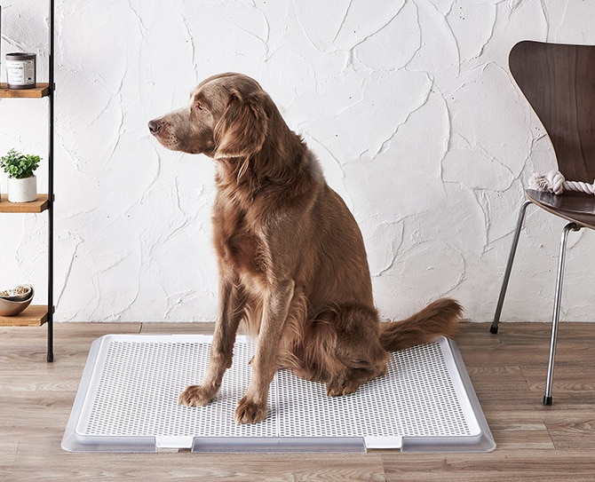 Bonbi ボンビアルコン ボンビ ペットトレー クリアメッシュ XL 犬 犬用 トイレ 大型犬 メッシュ トレー 透明 シンプル おしゃれ