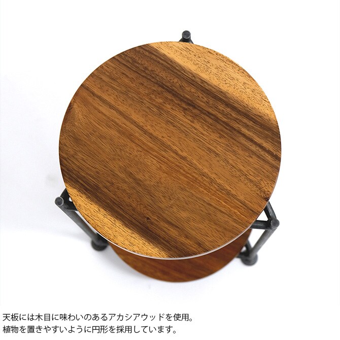 shesay シセイ 植物が飾りたくなるシェルフ サークル S 