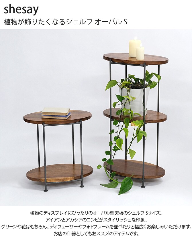 shesay シセイ 植物が飾りたくなるシェルフ オーバル S 
