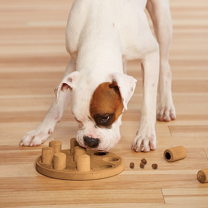 Nina Ottosson ニーナ・オットソン トリーツ・ゲーム スマート 犬用 ドッグ 知育トイ おもちゃ ドッグトイ 犬用おもちゃ スロウフィーダー おしゃれ