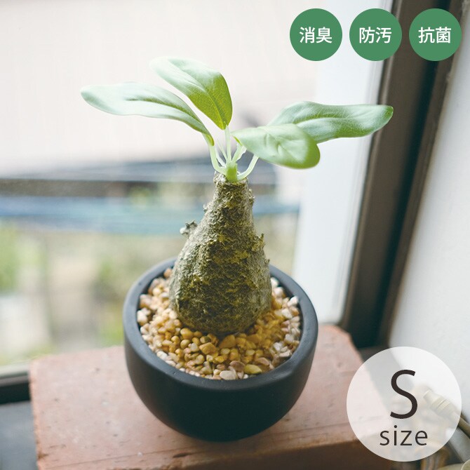 消臭アーティフィシャルグリーン ポット ウィンゾリー S