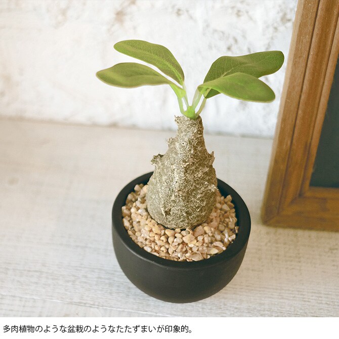 消臭アーティフィシャルグリーン ポット ウィンゾリー S