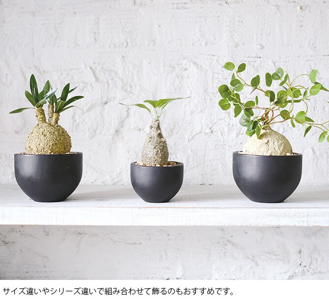 消臭アーティフィシャルグリーン ポット ウィンゾリー S