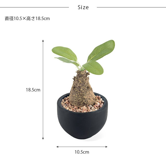 消臭アーティフィシャルグリーン ポット ウィンゾリー S