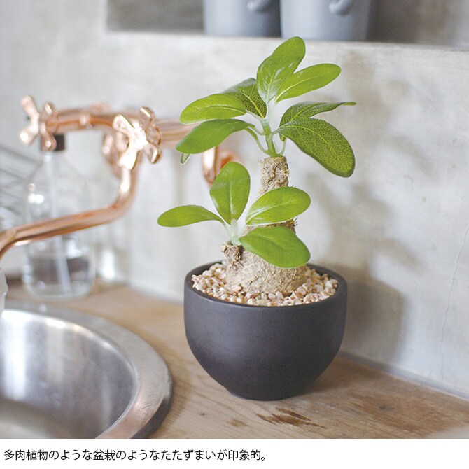 消臭アーティフィシャルグリーン ポット ウィンゾリー L 