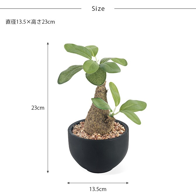 消臭アーティフィシャルグリーン ポット ウィンゾリー L 