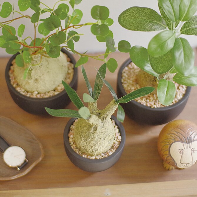 消臭アーティフィシャルグリーン ポット ラフィオナクメ S