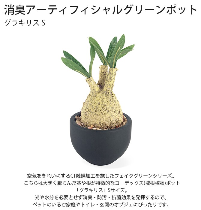 消臭アーティフィシャルグリーン ポット グラキリス S 