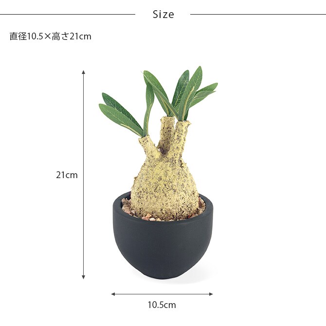 消臭アーティフィシャルグリーン ポット グラキリス S 