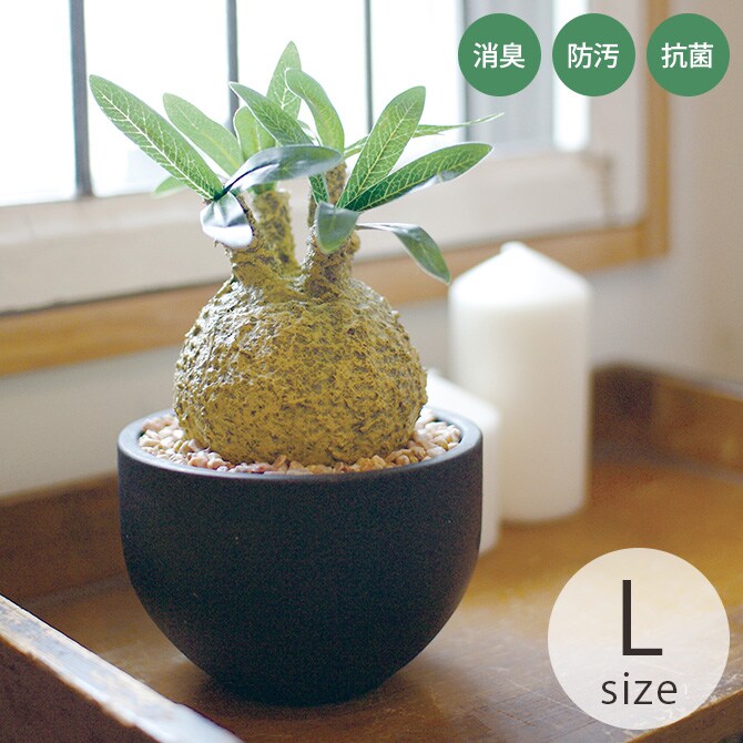 消臭アーティフィシャルグリーン ポット グラキリス L