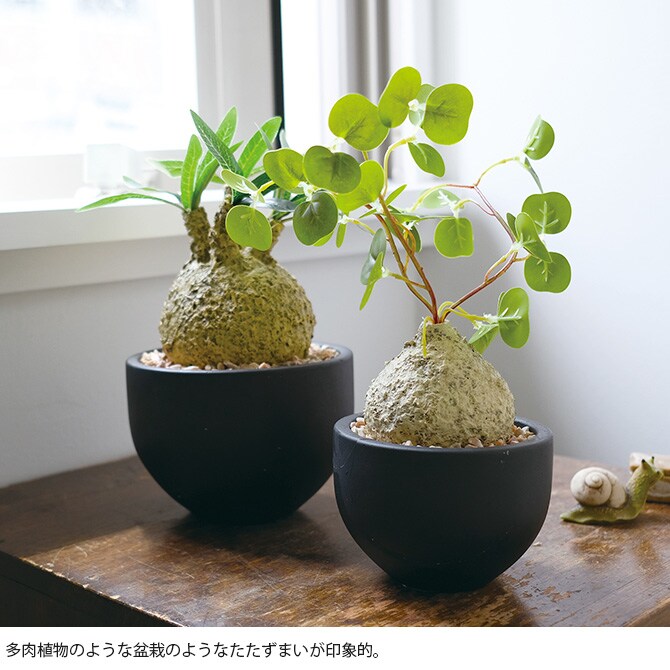 消臭アーティフィシャルグリーン ポット グラキリス L