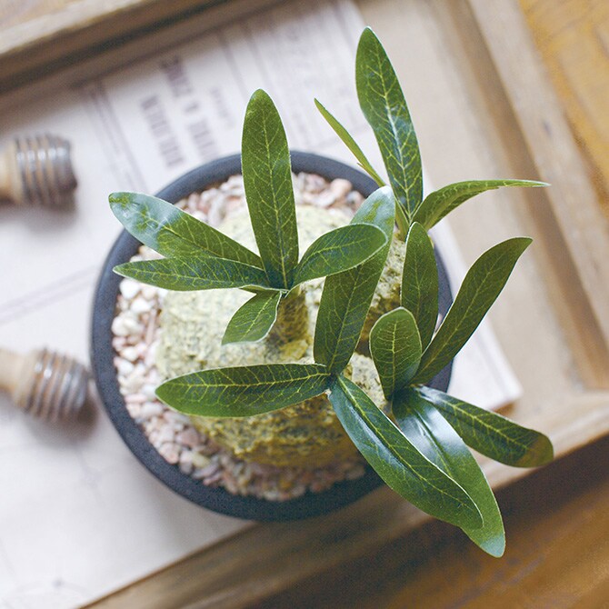 消臭アーティフィシャルグリーン ポット グラキリス L