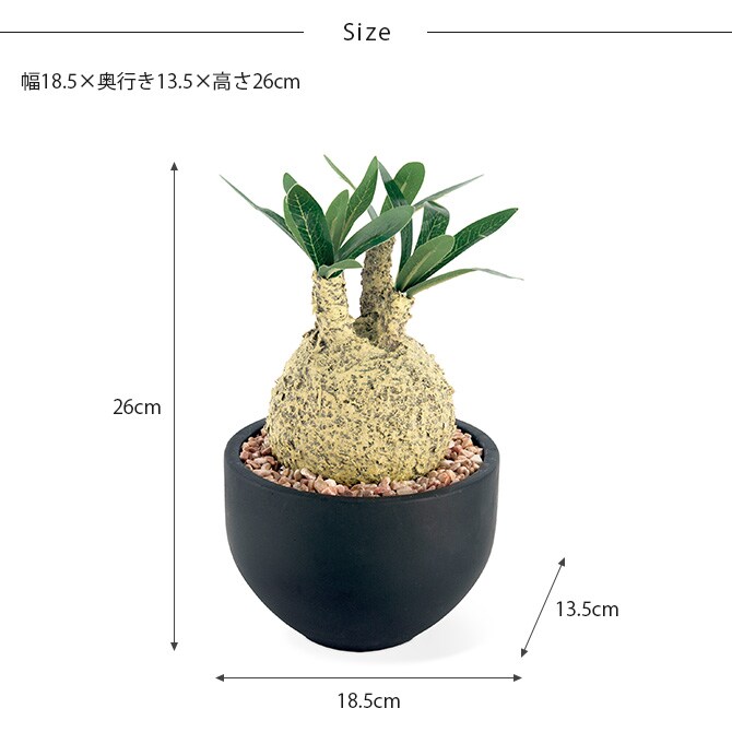 消臭アーティフィシャルグリーン ポット グラキリス L