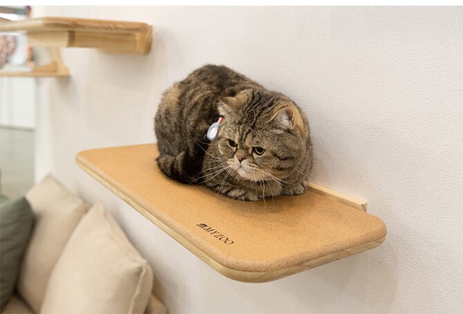 MYZOO マイズー キャットステップ CORK コルク キャットステップ 猫 ステップ 壁 上下運動 MYZOO マイズー 木製 おしゃれ シンプル