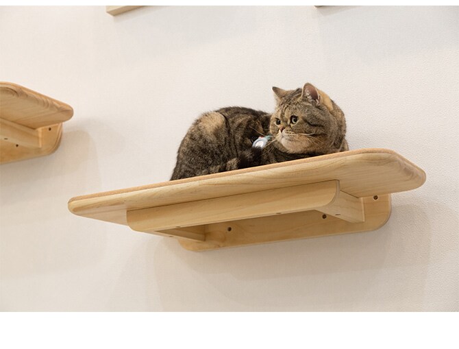 MYZOO マイズー キャットステップ CORK コルク キャットステップ 猫 ステップ 壁 上下運動 MYZOO マイズー 木製 おしゃれ シンプル