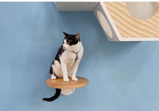 MYZOO マイズー キャットステップ CORK-R コルク-R キャットステップ 猫 ステップ 壁 上下運動 MYZOO マイズー 木製 おしゃれ シンプル ラウンド