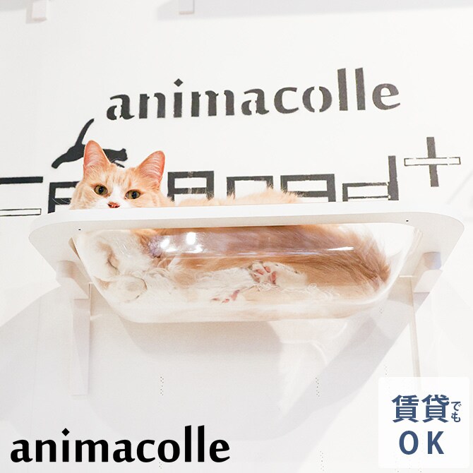 animacolle アニマコレ  Catroad+  キャットバス 