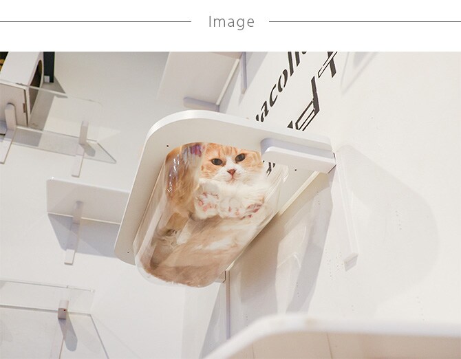 animacolle アニマコレ  Catroad+  キャットバス 