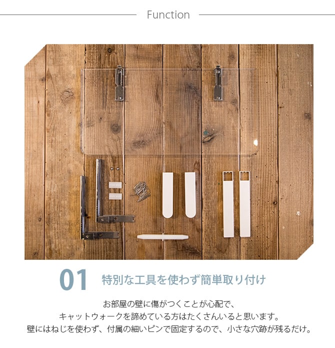 animacolle アニマコレ  Catroad+  キャットバス 