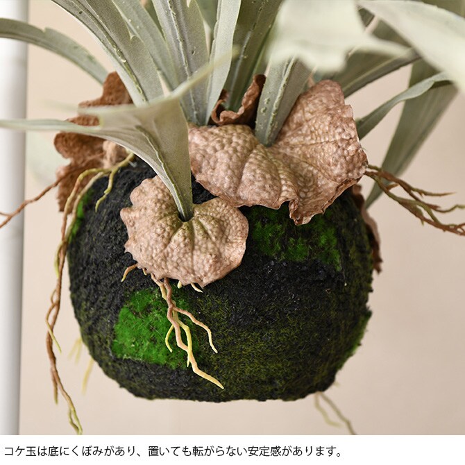 Brown. ブラウン フェイクグリーン ビカクシダ ハンギングボール 60  