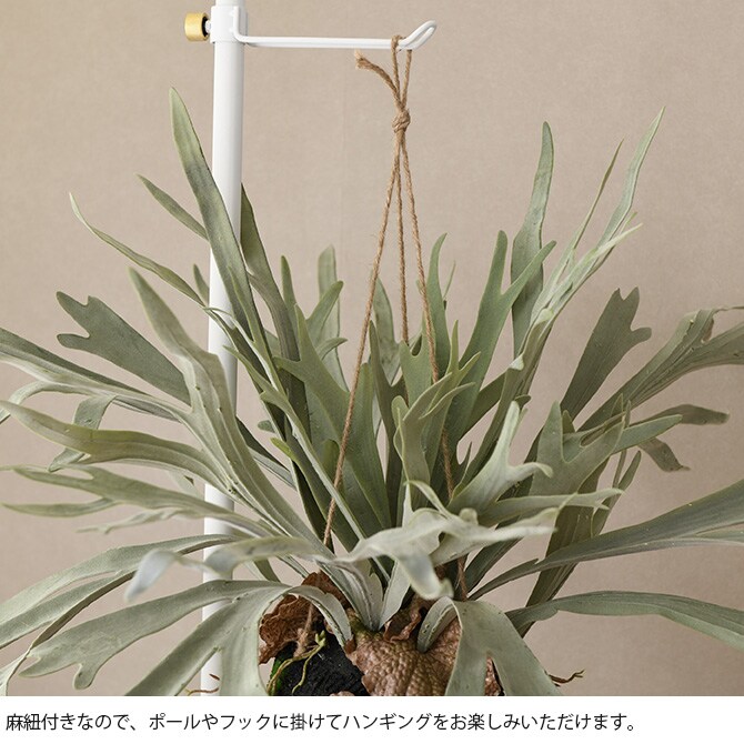 Brown. ブラウン フェイクグリーン ビカクシダ ハンギングボール 60  