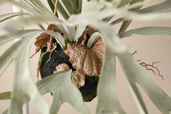 Brown. ブラウン フェイクグリーン ビカクシダ ハンギングボール 60  