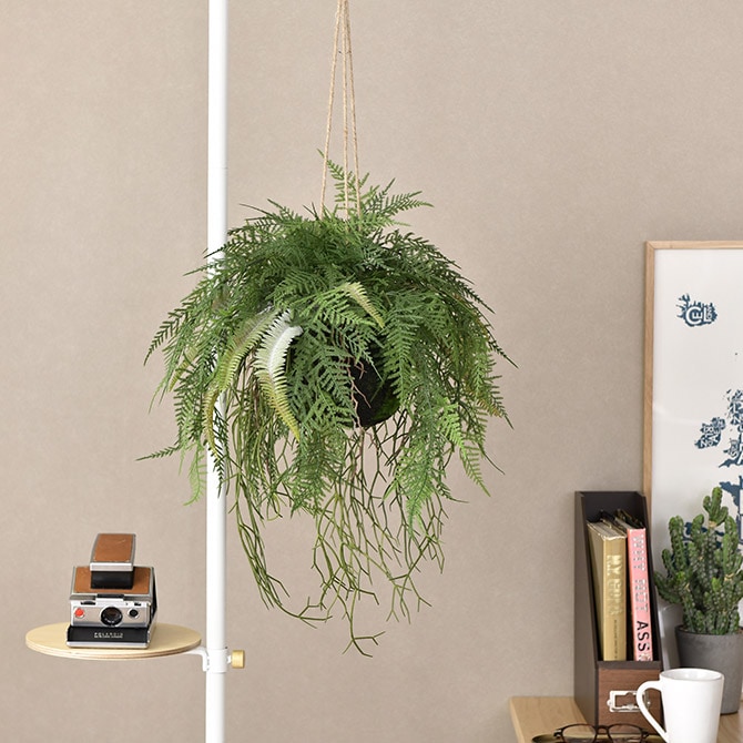 Brown. ブラウン フェイクグリーン ファーン ハンギングボール 65 