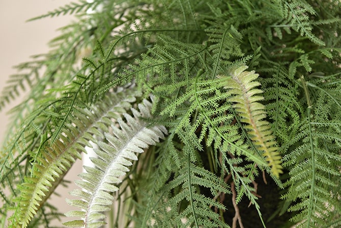 Brown. ブラウン フェイクグリーン ファーン ハンギングボール 65 