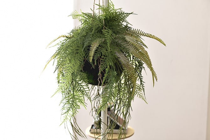 Brown. ブラウン フェイクグリーン ファーン ハンギングボール 65 