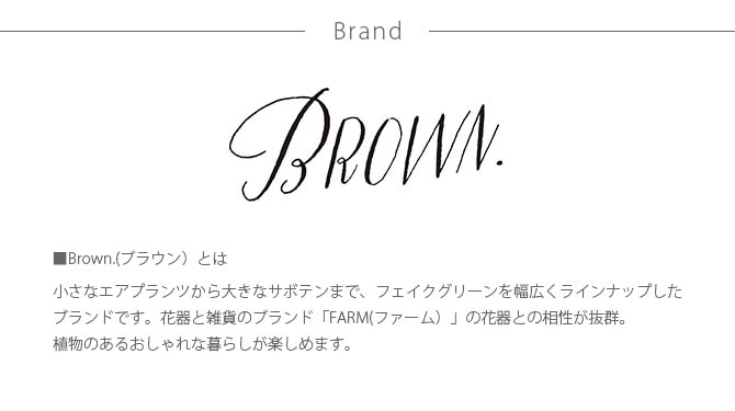 Brown. ブラウン フェイクグリーン ファーン ハンギングボール 65 