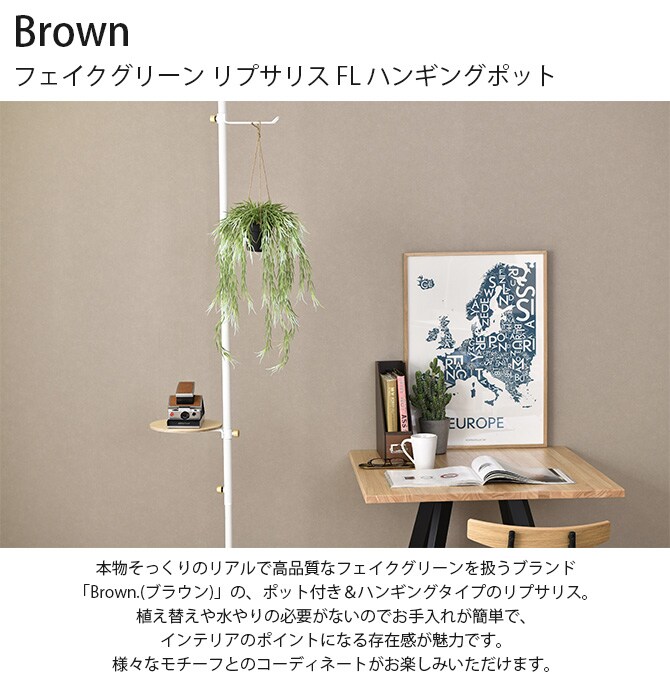 Brown. ブラウン フェイクグリーン リプサリス FL ハンギングポット