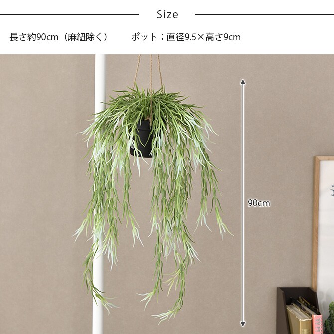 Brown. ブラウン フェイクグリーン リプサリス FL ハンギングポット