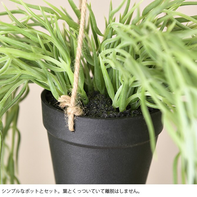 Brown. ブラウン フェイクグリーン リプサリス FL ハンギングポット