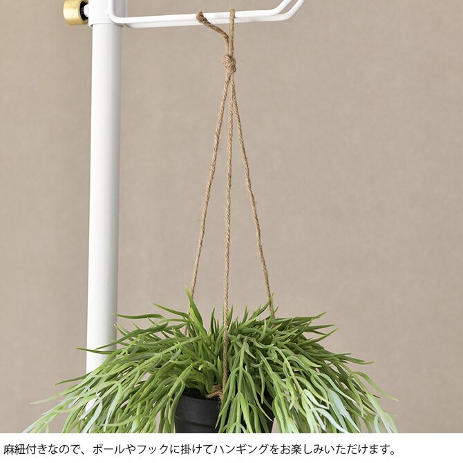 Brown. ブラウン フェイクグリーン リプサリス FL ハンギングポット