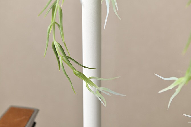 Brown. ブラウン フェイクグリーン リプサリス FL ハンギングポット