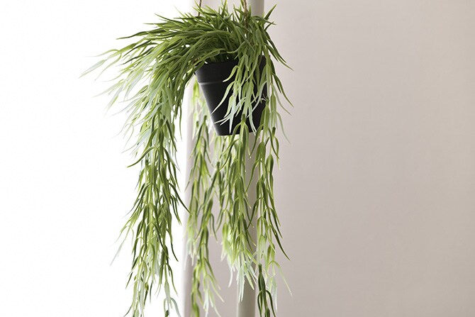 Brown. ブラウン フェイクグリーン リプサリス FL ハンギングポット