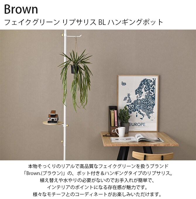 Brown. ブラウン フェイクグリーン リプサリス BL ハンギングポット