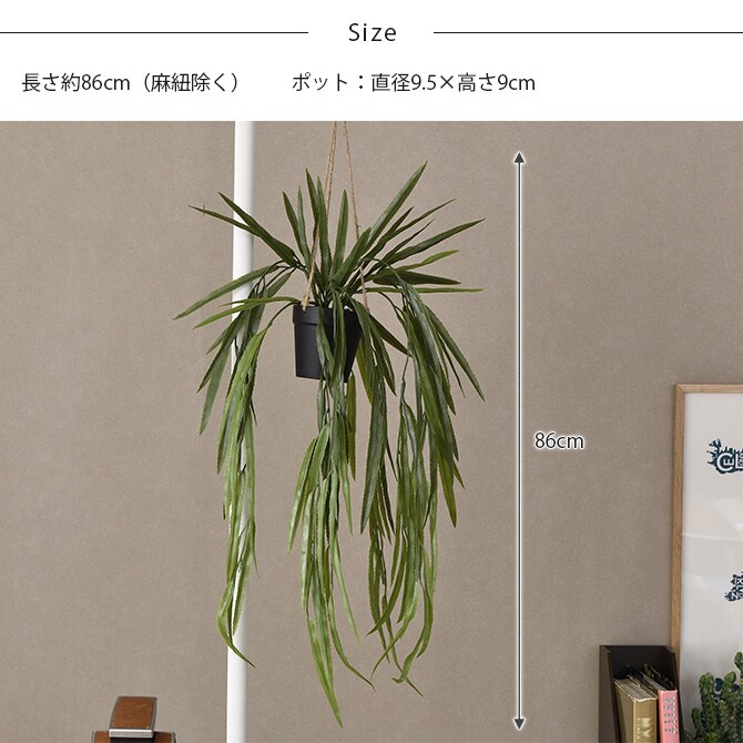 Brown. ブラウン フェイクグリーン リプサリス BL ハンギングポット