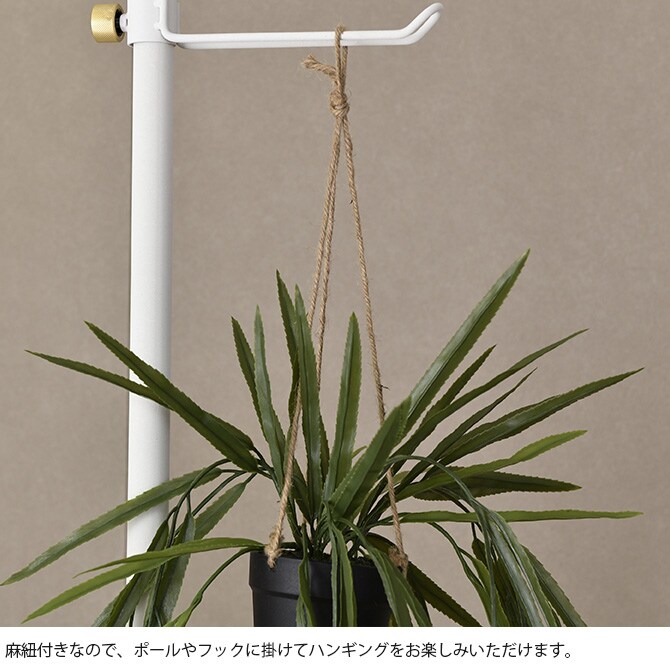 Brown. ブラウン フェイクグリーン リプサリス BL ハンギングポット