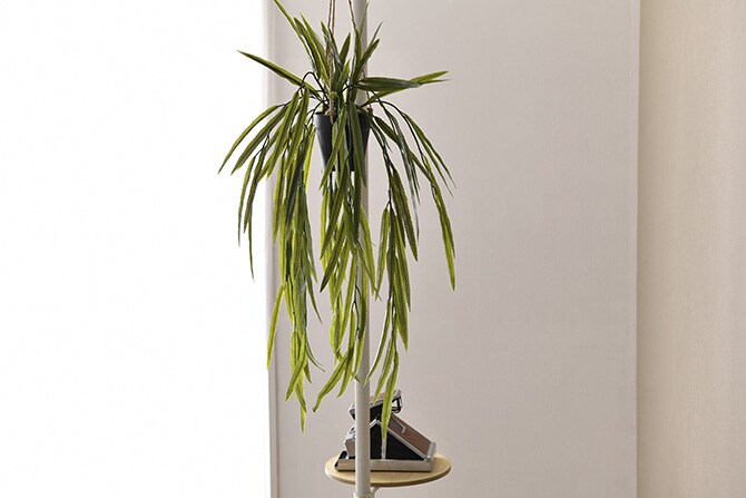 Brown. ブラウン フェイクグリーン リプサリス BL ハンギングポット