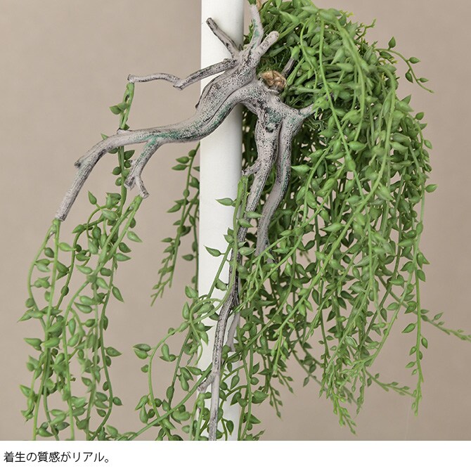 Brown. ブラウン フェイクグリーン グリーンネックレス 着生